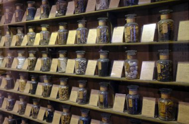 Fito Müzesi veya Vietnam Geleneksel Tıp Müzesi. Eczacı kavanozları. Beden eğitimi. Ho Chi Minh Şehri. Vietnam.