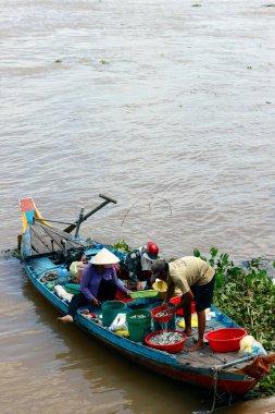 Mekong nehrinde taze balık satan kadınlar. Bir Giang Eyaleti. Mekong Delta, Vietnam.