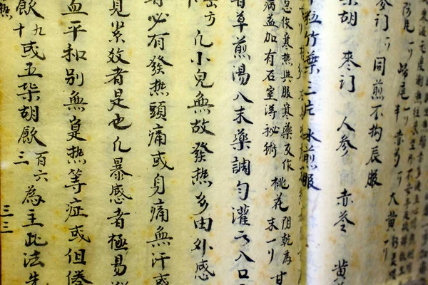 Fito Müzesi veya Vietnam Geleneksel Tıp Müzesi. Eski oryantal tıp kitabı, Çince. Ho Chi Minh Şehri. Vietnam.