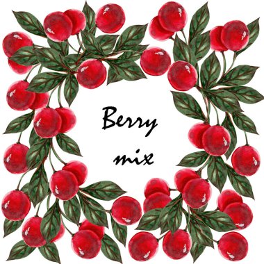 Meyveli kiraz ve ahududu suluboya çizimi