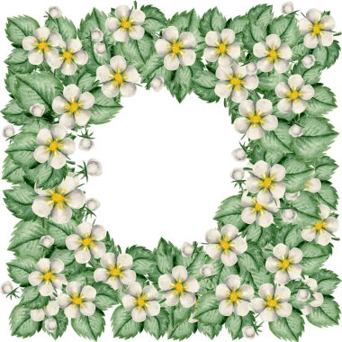 Kusursuz desen ve çerçeveli sulu çilekler ve beyaz çiçekli dallar suluboya kiraz böğürtlenleri çiziyor