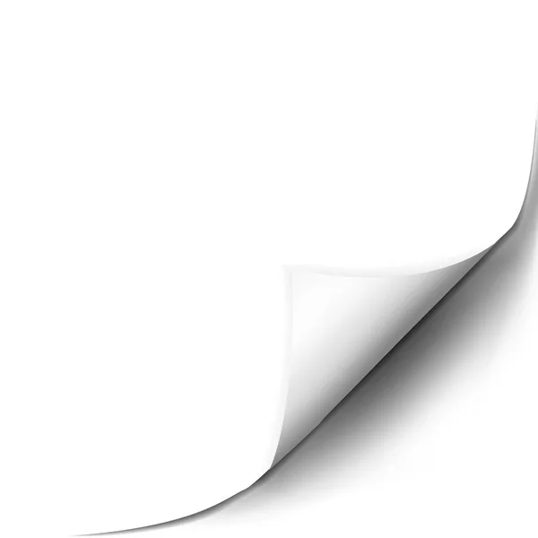 Rizo de página con sombra en hoja de papel en blanco — Vector de stock