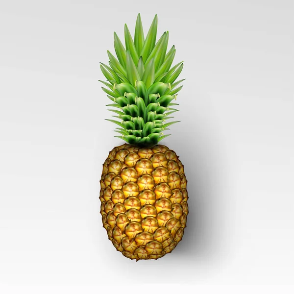 Imagen realista de piña con ilustración transparente de vectores de sombras aislada sobre fondo blanco a cuadros — Vector de stock