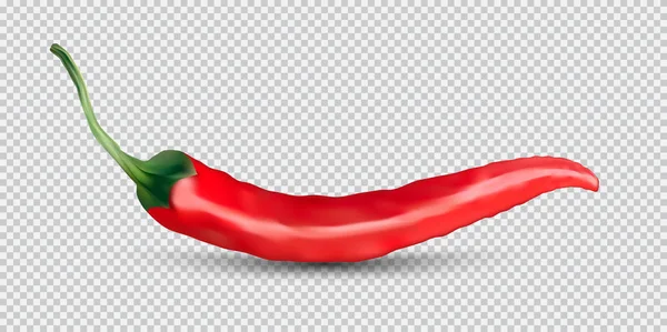 Red hot natural chili pepper pod realistic image with shadow for culinary products and recipes vector illustration — Stock Vector