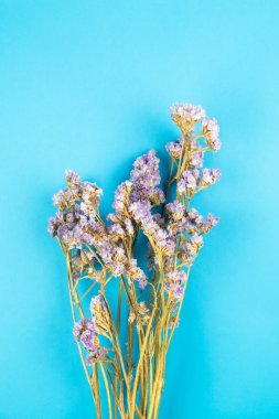 Açık mavi renkli Menekşe statice çiçek kurutulmuş