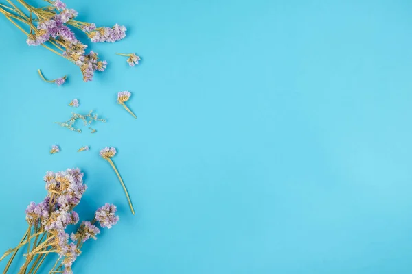 Vista dall'alto del fiore di statice viola essiccato su sfondo blu — Foto Stock