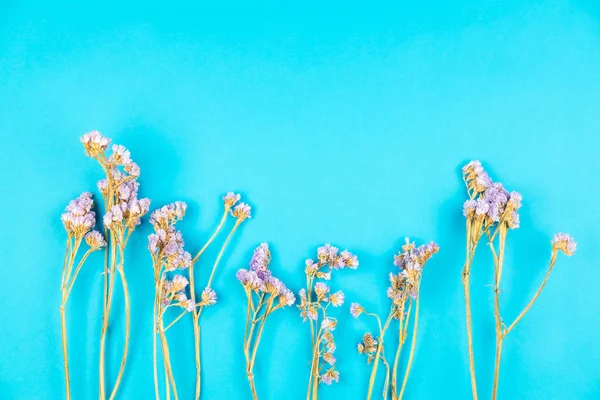 Secco viola statice fiore su sfondo azzurro — Foto Stock