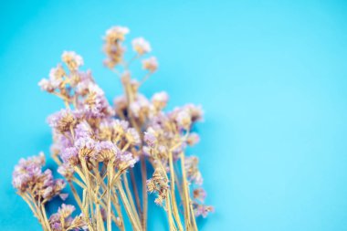 Vintage tonda mor statik çiçek buketi üzerinde seçici odak