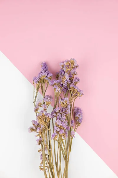Mazzo di fiori viola statice su sfondo rosa pastello e bianco — Foto Stock