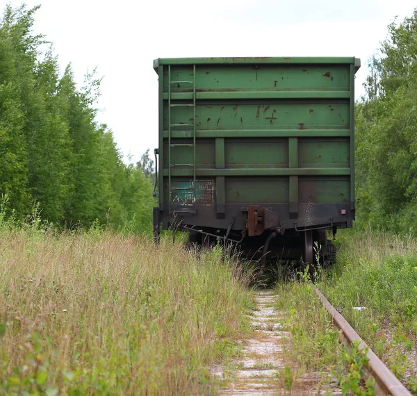 Overgrown Con Bosque Pasto Ferrocarril —  Fotos de Stock