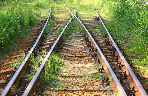 Alte Eisenbahn Mit Dickem Grünen Gras Überwuchert — Stockfoto