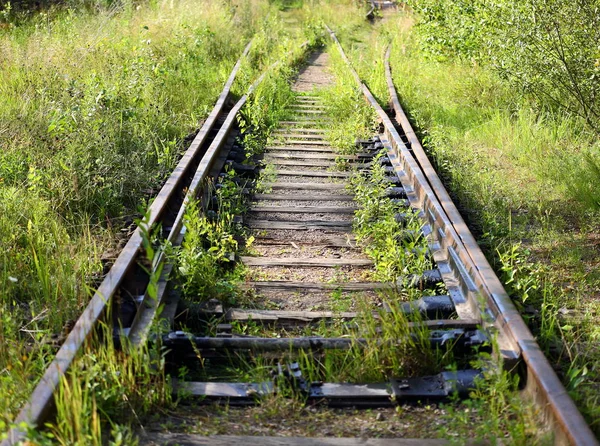 太い緑の草で生い茂る古い鉄道 — ストック写真