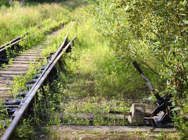 Overgrown Con Hierba Verde Gruesa Viejo Ferrocarril —  Fotos de Stock