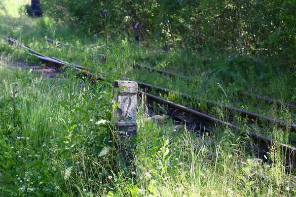 電車の線路の分岐点 — ストック写真