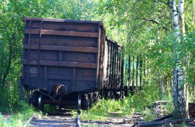 Orman ve çim demiryolu ile büyümüş