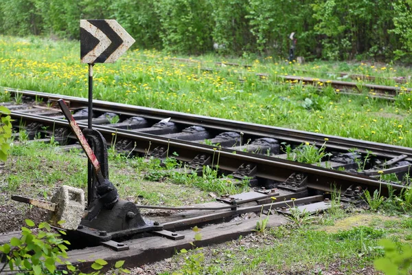 Cambiar Las Vías Del Ferrocarril Antigua Línea Ferrocarril Cubierto Hierba —  Fotos de Stock