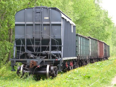 Demiryolu üzerinde yük treni çim ile büyümüş
