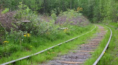 Ormandaki eski demiryolu.