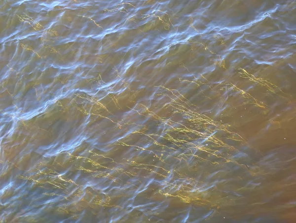 Alghe Nell Acqua Marrone Chiaro Del Fiume — Foto Stock