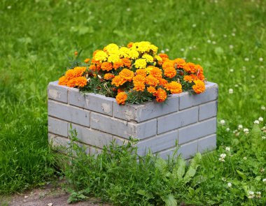 Turuncu asters ile Kare beton çiçekli