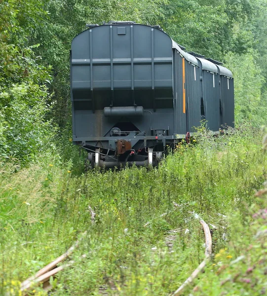 森林里旧铁路上的货运列车 — 图库照片
