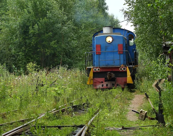 Locomotora Viejo Ferrocarril Bosque —  Fotos de Stock