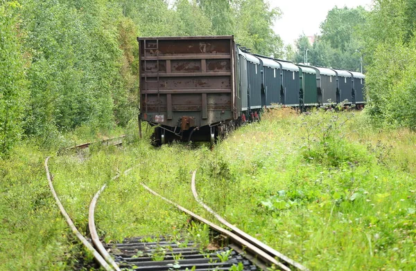森林里旧铁路上的货运列车 — 图库照片
