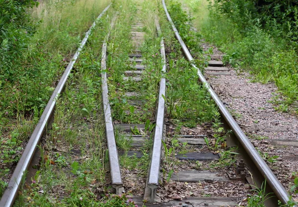 Överväxt Med Tjock Grön Gräs Gammal Järnväg — Stockfoto