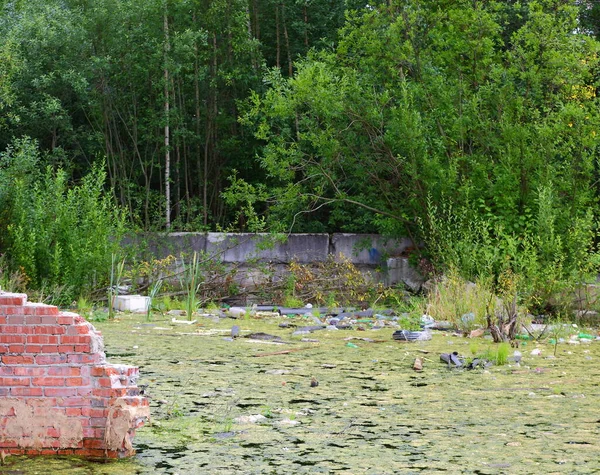 Resti Muro Mattoni Vicino Uno Stagno Abbandonato — Foto Stock