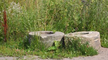 Yeşil çimlerde terk edilmiş eski beton halkalar.