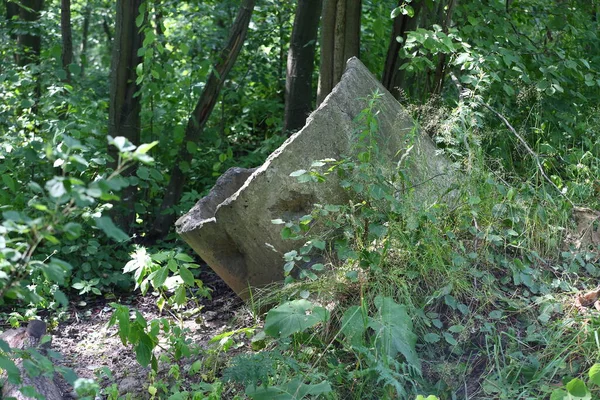 Een Gebroken Betonnen Ring Achtergelaten Het Bos — Stockfoto