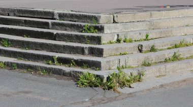 Aşırı büyümüş çimlerle gri beton basamaklar