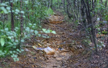 Ormandaki döküntülerle dolu kuru bir drenaj çukuru.