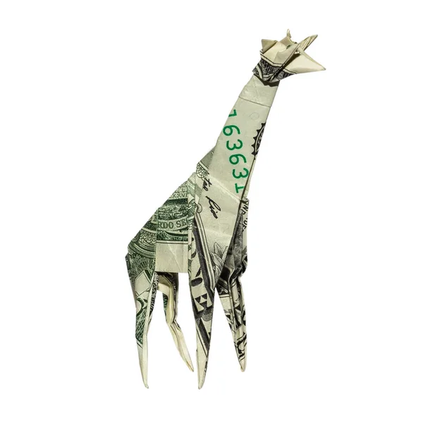 Denaro Origami Giraffe Piegato Con Real One Dollar Bill Isolato — Foto Stock