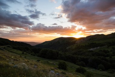 Derin Golden Sunset Kırım yarımadası çiçek Hills yaz manzara