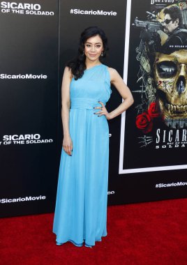 Aimee Garcia Los Angeles galasında ' Sicario: Soldado gün ' 26 Haziran 2018 üzerinde Regency köyü tiyatro Westwood, ABD'de düzenlenen.