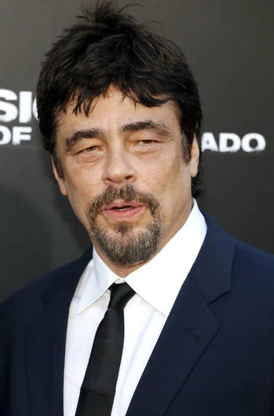 Benicio Del Toro Bij Los Angeles Premiere Van Sicario Dag — Stockfoto