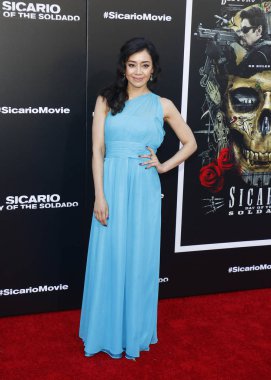 Aimee Garcia, Los Angeles aktris premiere ' Sicario: Soldado gün ' 26 Haziran 2018 üzerinde Regency köyü tiyatro Westwood, ABD'de düzenlenen.