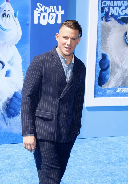 Channing Tatum Estreno Los Ángeles Smallfoot Celebrado Regency Village Theatre —  Fotos de Stock