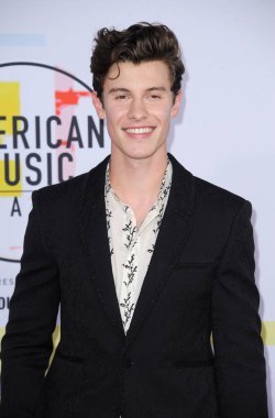 9 Ekim 2018 Los Angeles, ABD Microsoft Theater Shawn Mendes 2018 Amerikan Müzik Ödülleri'nde düzenlenen.