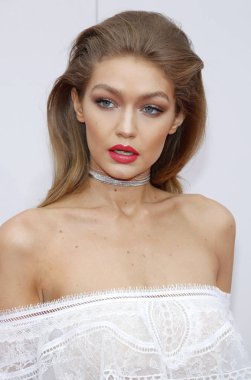 20 Kasım 2016 Los Angeles, ABD Microsoft Theater manken Jelena Noura 'Gür' Hadid 2016 Amerikan Müzik Ödülleri'nde düzenlenen.
