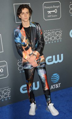 Timothee Chalamet, 24 yıllık Critics'Choice Awards Santa Monica, ABD Barker Hangar 13 Ocak 2019 düzenlenen.