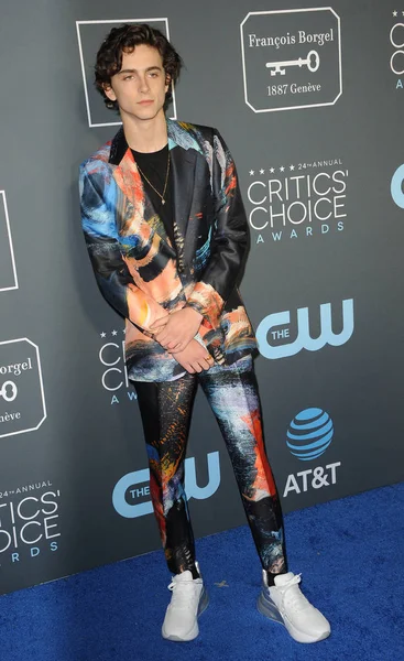 Timothee Chalamet 24Th Annual Critics Choice Awards Held Barker Hangar — Stock Photo, Image