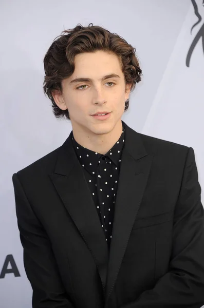 Timothee Chalamet Yıllık Screen Actors Guild Awards Ocak 2019 Los — Stok fotoğraf