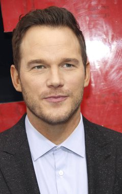 Los Angeles galasında Chris Pratt ' The Lego Film 2: ikinci bölümü ' Regency köyü tiyatro Westwood, ABD'de 2 Şubat 2019 düzenlenen.