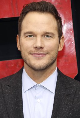 Los Angeles galasında Chris Pratt ' The Lego Film 2: ikinci bölümü ' Regency köyü tiyatro Westwood, ABD'de 2 Şubat 2019 düzenlenen.