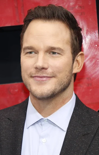 aktör Chris Pratt, Los Angeles premiere ' The Lego film 2: ikinci bölümü ' Regency Köyü tiyatro Westwood, ABD'de 2 Şubat 2019 düzenlenen.