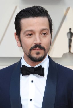 Diego Luna