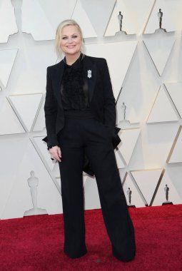 Amy Poehler