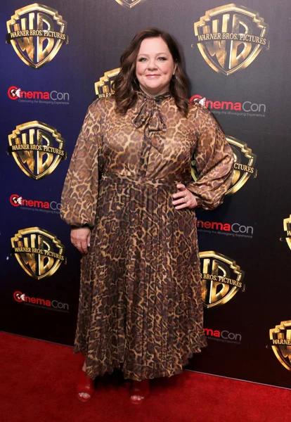 Actriz Melissa Mccarthy Cinemacon 2019 Warner Bros Pictures Big Picture — Foto de Stock